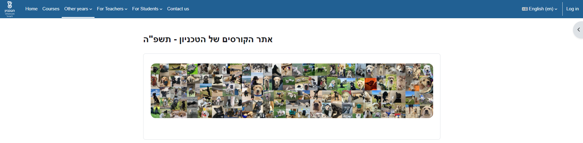 The picture shows the website's main page. The "log in" button is on the top panel on the right