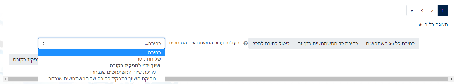 בחירת מחיקת משתתפים לאחר סימון כל המשתתפים למחיקה